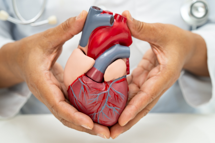 Dr. Irfan's - The Klinik